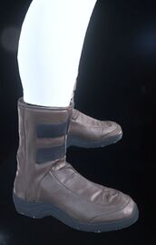 Ardent Boots Sienna.jpg