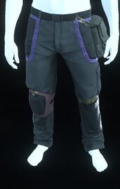 Edgewear Pants Purple.jpg