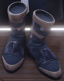 Ivers Boots Blue.jpg