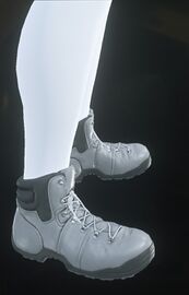 Landlite Boots Grey.jpg