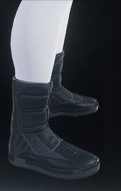 Li-Tok Boots Black.jpg