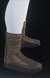 Li-Tok Boots Sienna.jpg