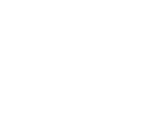 Star Citizen Wiki Logo Stern.svg