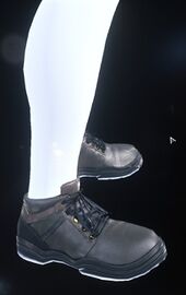 WK-8 Shoes.jpg